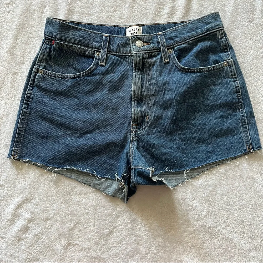 Aritzia Denim Shorts